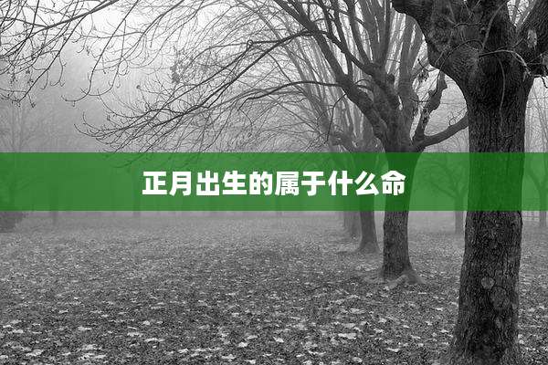 正月出生的属于什么命