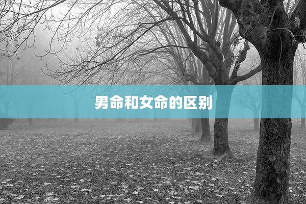 男命和女命的区别