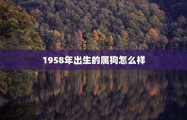 1958年出生的属狗怎么样