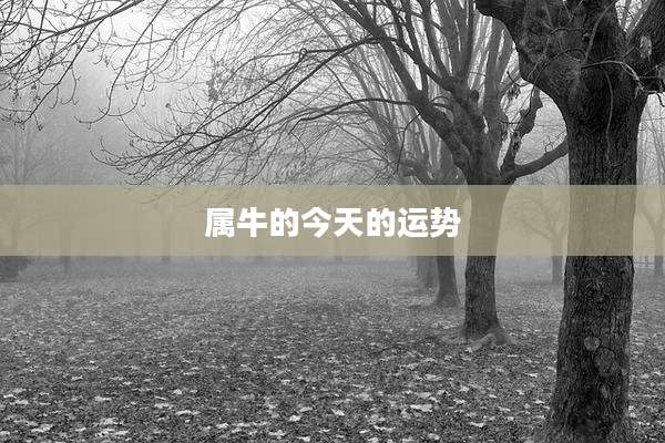 属牛的今天的运势