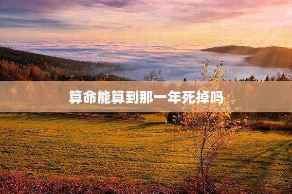 算命能算到那一年死掉吗