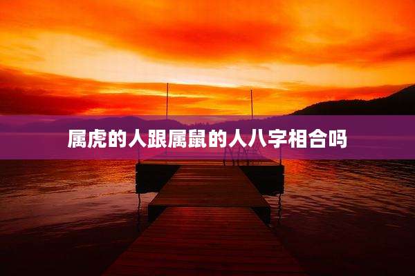 属虎的人跟属鼠的人八字相合吗