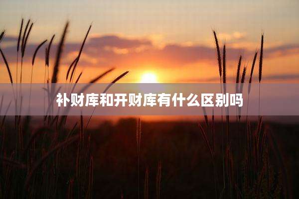 补财库和开财库有什么区别吗