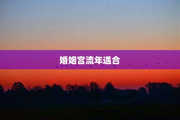 婚姻宫流年遇合