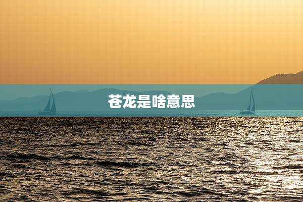苍龙是啥意思