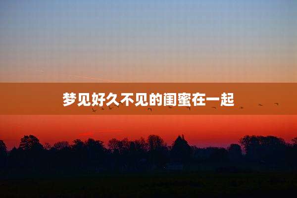 梦见好久不见的闺蜜在一起