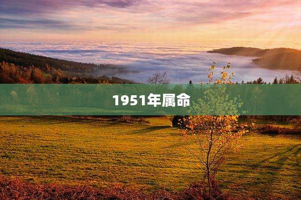 1951年属命