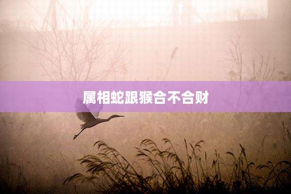 属相蛇跟猴合不合财