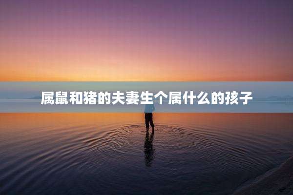 属鼠和猪的夫妻生个属什么的孩子