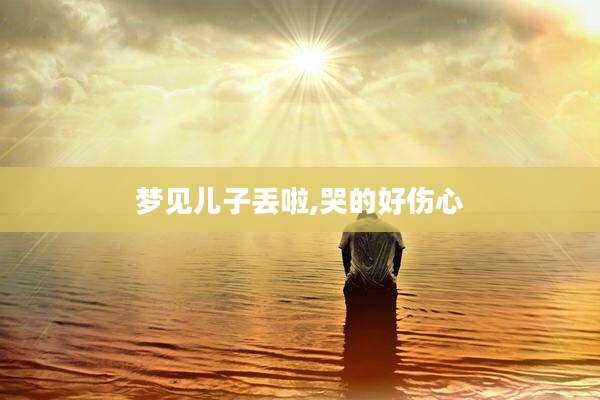 梦见儿子丢啦,哭的好伤心