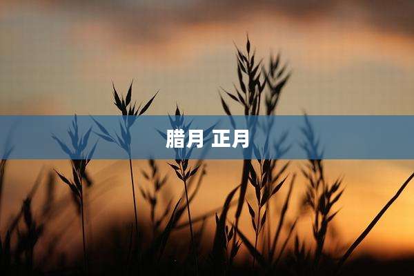 腊月 正月
