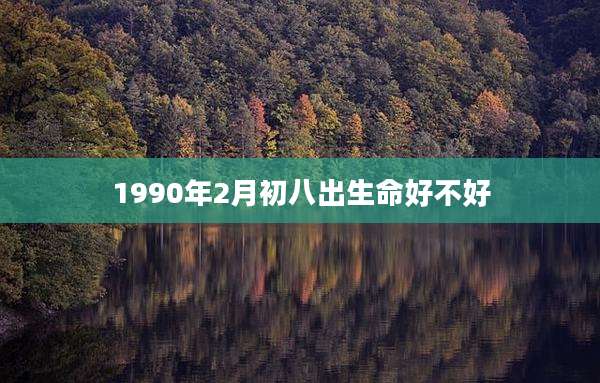 1990年2月初八出生命好不好