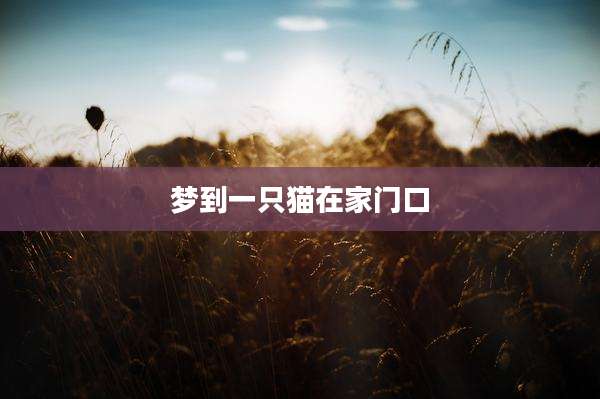 梦到一只猫在家门口