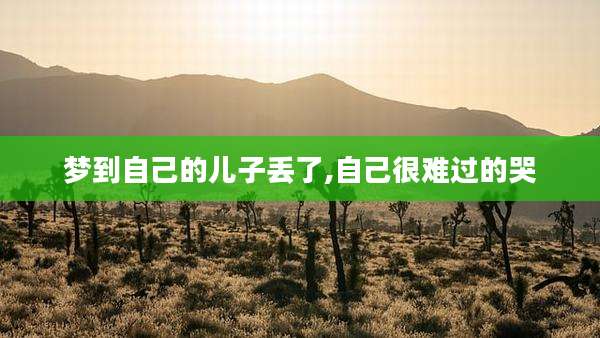 梦到自己的儿子丢了,自己很难过的哭