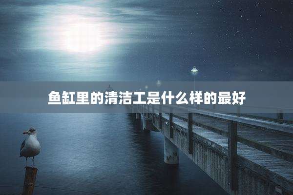 鱼缸里的清洁工是什么样的最好