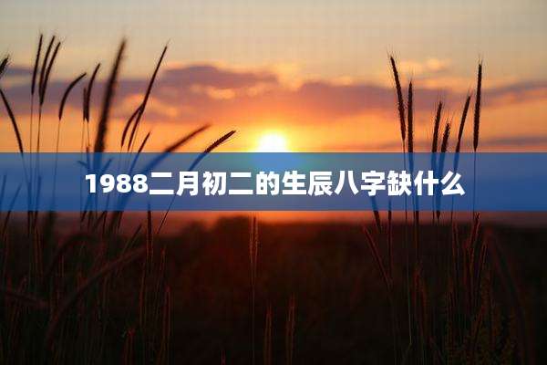 1988二月初二的生辰八字缺什么
