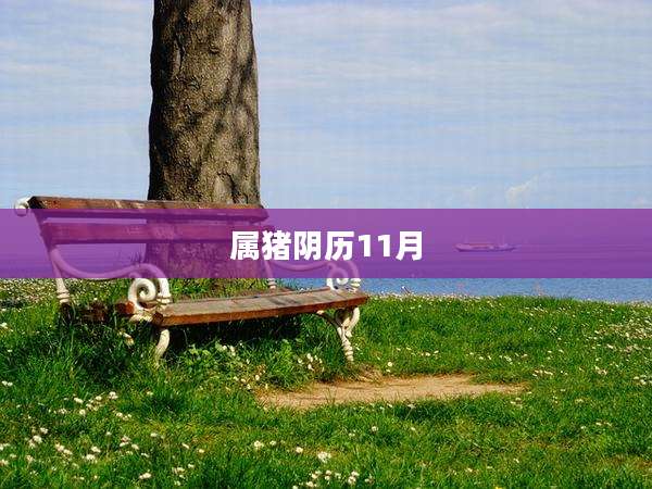 属猪阴历11月