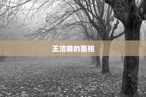 王洁曦的面相