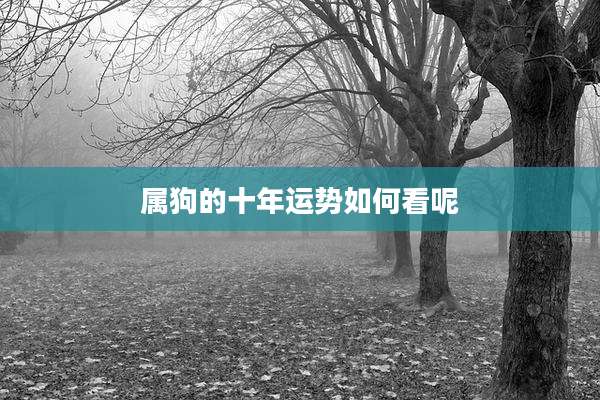 属狗的十年运势如何看呢
