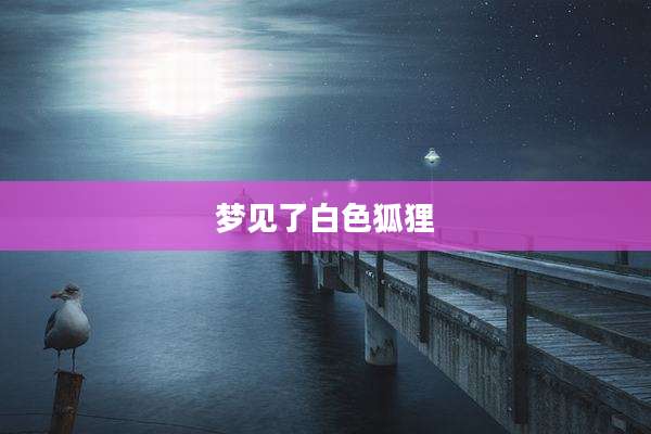 梦见了白色狐狸