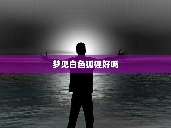 梦见白色狐狸好吗