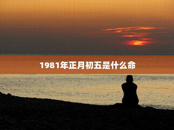 1981年正月初五是什么命