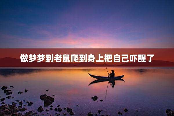 做梦梦到老鼠爬到身上把自己吓醒了
