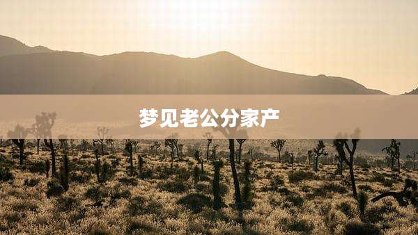 梦见老公分家产