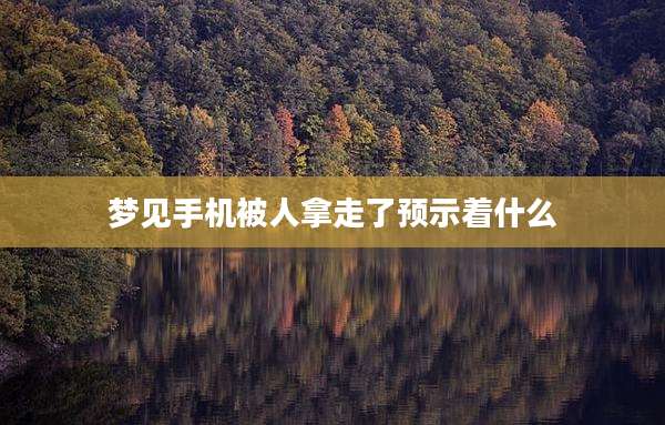 梦见手机被人拿走了预示着什么