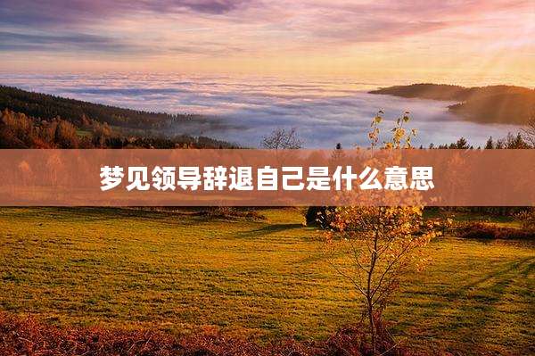 梦见领导辞退自己是什么意思