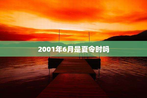 2001年6月是夏令时吗
