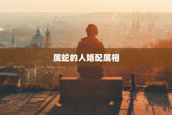 属蛇的人婚配属相