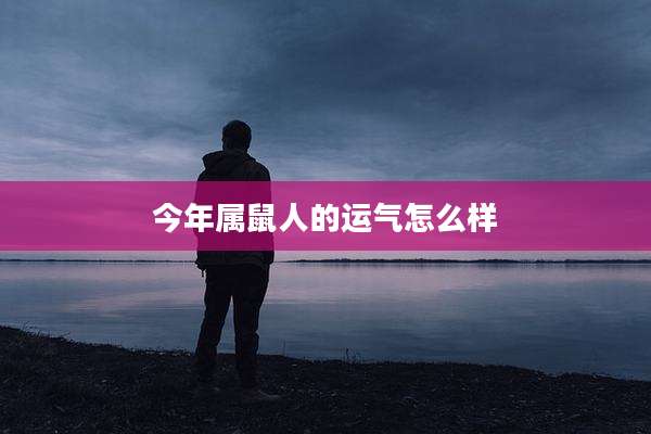 今年属鼠人的运气怎么样