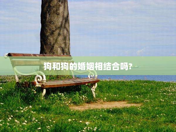 狗和狗的婚姻相结合吗?
