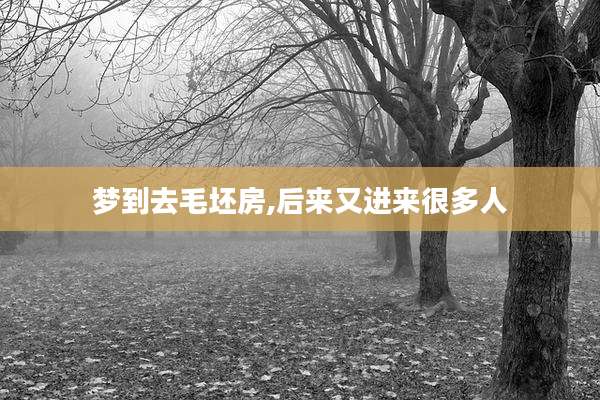 梦到去毛坯房,后来又进来很多人