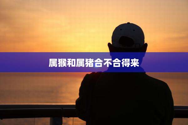 属猴和属猪合不合得来