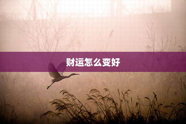 财运怎么变好