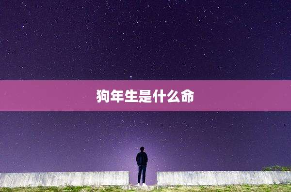 狗年生是什么命