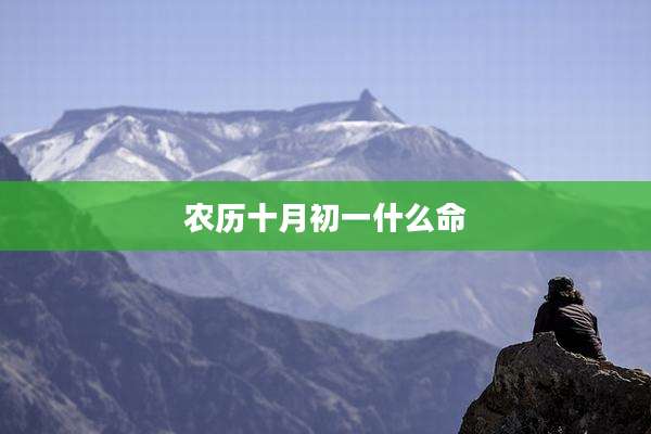 农历十月初一什么命