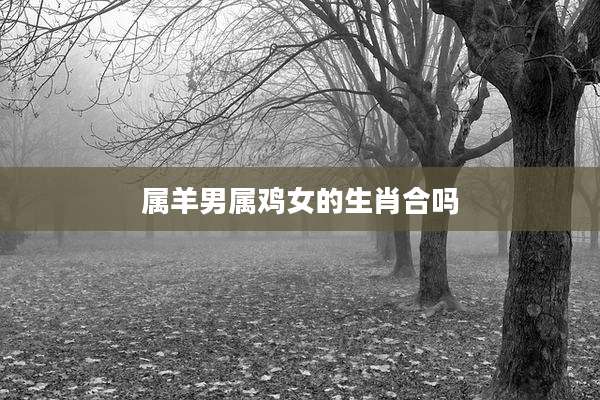 属羊男属鸡女的生肖合吗