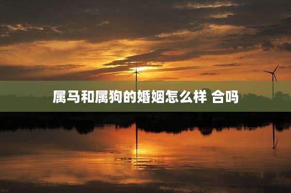 属马和属狗的婚姻怎么样 合吗