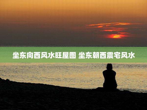 坐东向西风水旺屋图 坐东朝西震宅风水