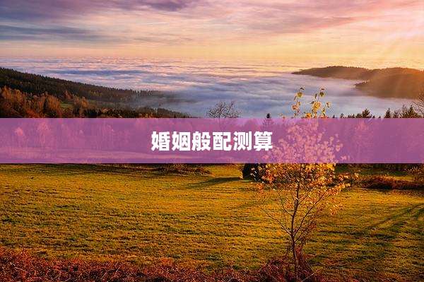 婚姻般配测算