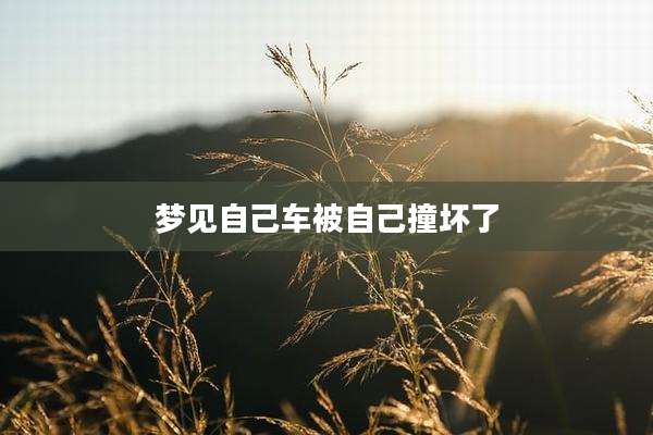梦见自己车被自己撞坏了