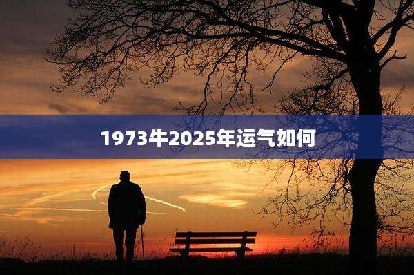 1973牛2025年运气如何