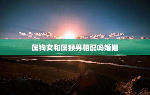 属狗女和属猴男相配吗婚姻