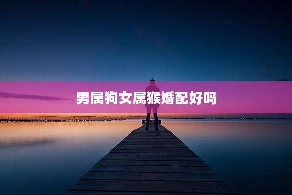 男属狗女属猴婚配好吗
