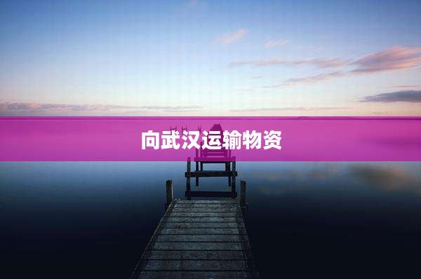 向武汉运输物资