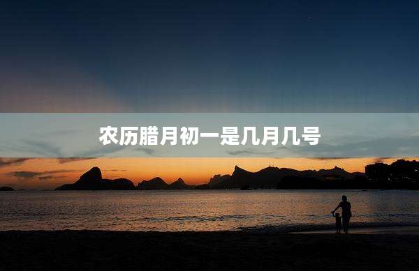 农历腊月初一是几月几号