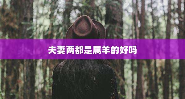夫妻两都是属羊的好吗